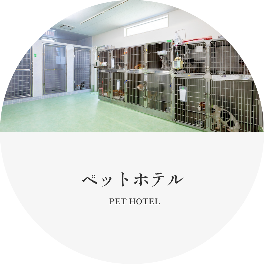 ペットホテル